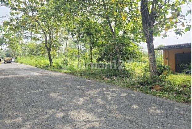 Lahan Kawasan untuk Industri Pabrik Strategis di Pinggir Jalan