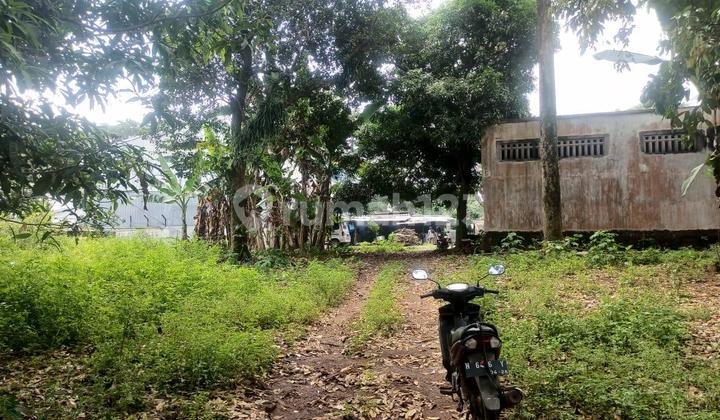 Strategic Land by the Highway, Brutal Price, Direct from Owner 2