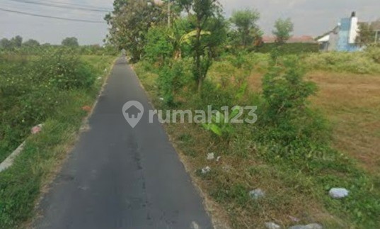 Di Jual Tanah Lokasi Strategis Harga Rendah Trihanggo Sleman Di Jual Tanah Lokasi Strategis Harga Rendah Trihanggo Sleman