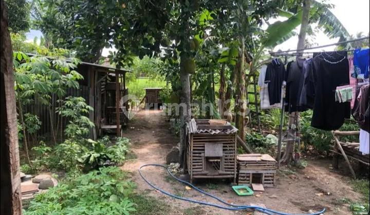 For Sale Spacious House on Jl Piyungan-Prambanan KM 1 Srimartani Bantul 2