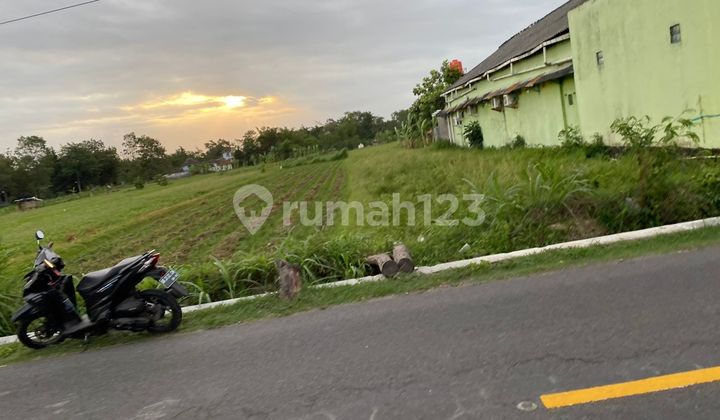 Tanah Sawah Jalur Kuning, Tamanmartani, Kalasan, Sleman, Jogja