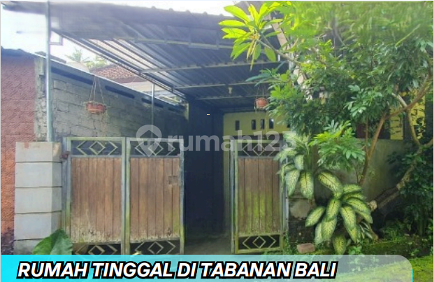 For Sale, Low-Priced Residential House Auction Asset in Bongan, Tabanan, Bali