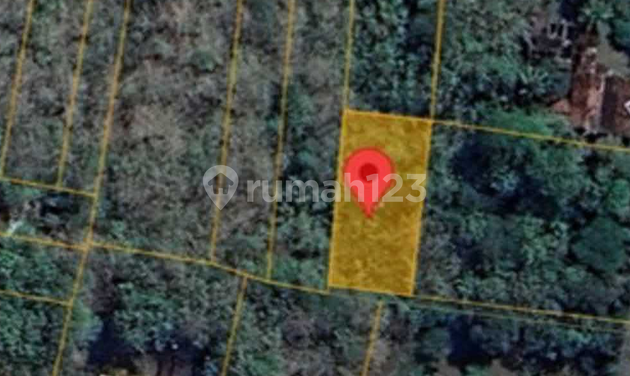 Dijual Tanah Luas 581 M² Strategis Mulai 200 Jutaan di Sentolo Dijual Tanah Luas 581 M² Strategis Mulai 200 Jutaan di Sentolo