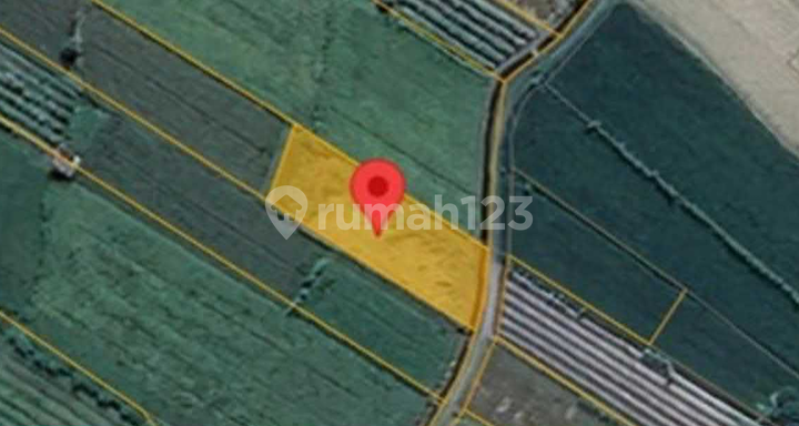 Dijual Lahan Pertanian Asri Strategis di Sleman Hanya 100 Jutaan