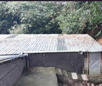 For Sale Auctioned Livestock Building Asset 749 M2 in Sleman - Strategic Location &amp; Ready to Use