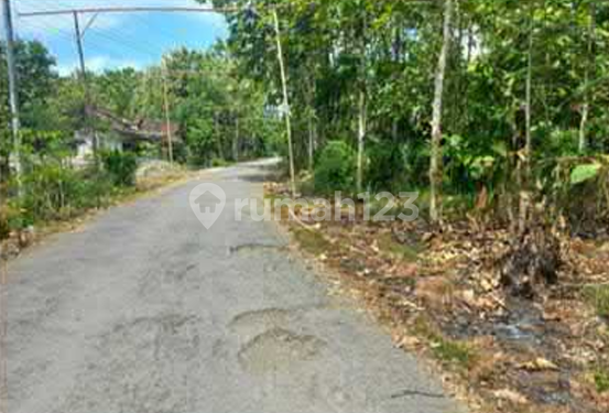 Dijual Tanah Luas 581 M² Strategis Mulai 200 Jutaan di Sentolo