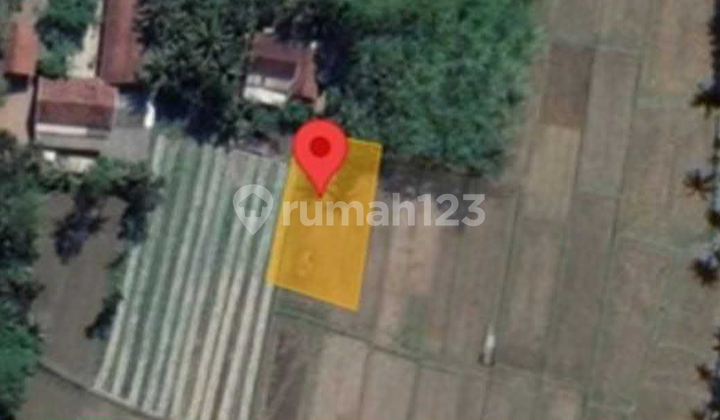 Dijual Lahan Pertanian Strategis di Kulon Progo Dijual Lahan Pertanian Strategis di Kulon Progo