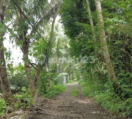 Dijual Tanah Cocok untuk Peternakan Tempel Sleman