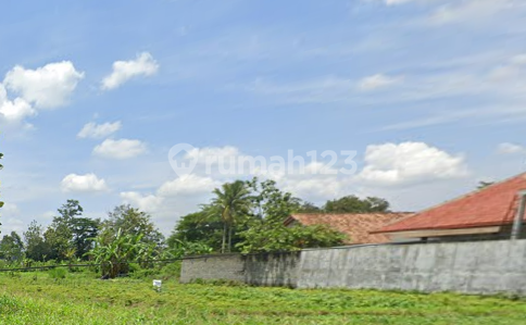 Dijual Aset Lelang Lahan Perkebunan, Dekat Condongcatur, Cocok untuk Hunian atau Investasi Masa Depan