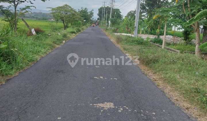 Dijual Tanah Lokasi Strategis di Madurejo Prambanan Sleman Jogja Dijual Tanah Lokasi Strategis di Madurejo Prambanan Sleman Jogja