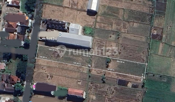 Dijual Tanah Sawah Cocok untuk Usaha, Badegan, Bantul, Jogja