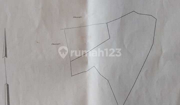 For Sale Longan Orchard Land Dlingo Bantul Jogja