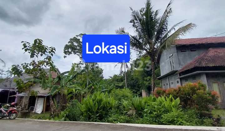 Land for Sale Suitable for Housing in Donotirto, Bantul Land for Sale Suitable for Housing in Donotirto, Bantul