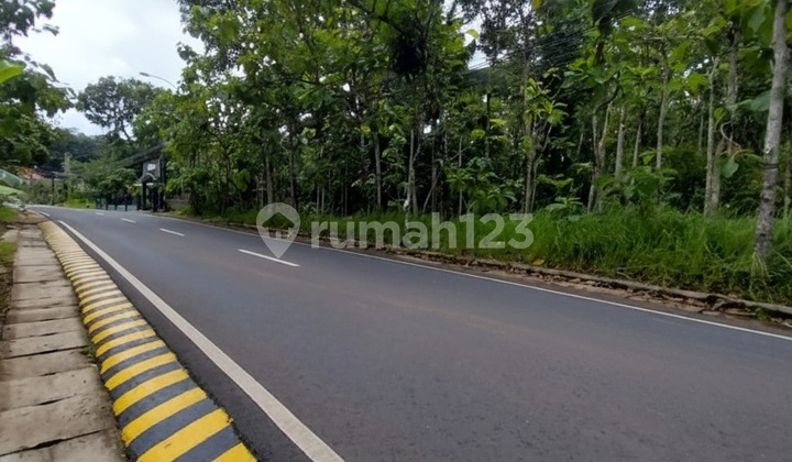 For Sale: Spacious 4,290M2 Plot of Land, Ideal for Housing in Dlingo