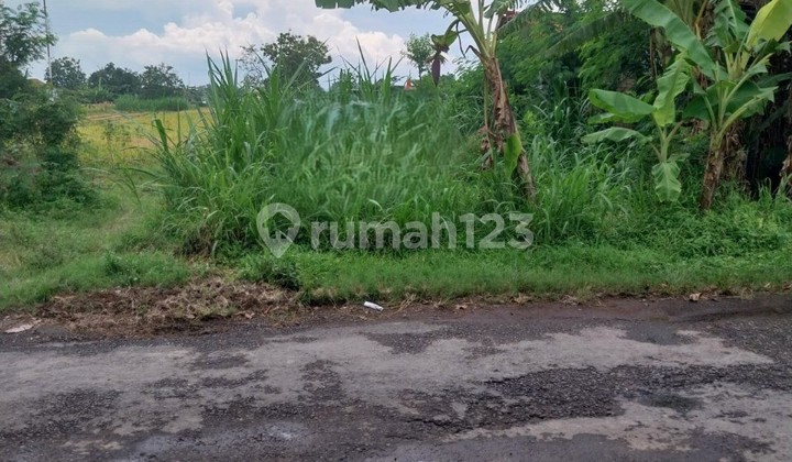 Dijual Tanah Sawah Luas 1.184 M2 Srimulyo Piyungan Bantul Jogja Dijual Tanah Sawah Luas 1.184 M2 Srimulyo Piyungan Bantul Jogja