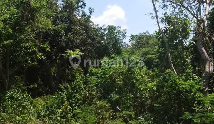 Strategic Land 930m2 on Alas Arum Street, Kutuh, South Kuta