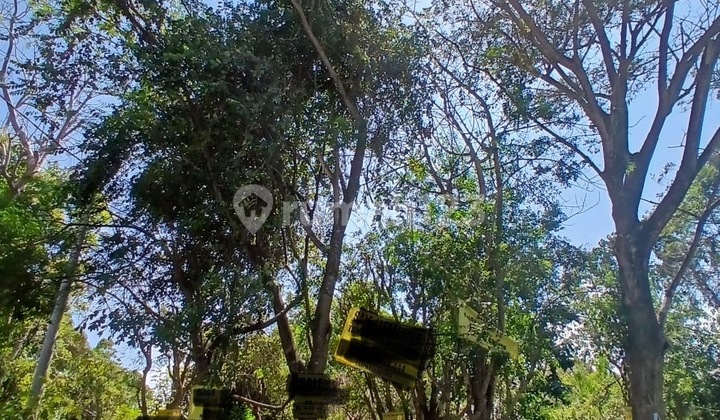 Tanah Premium Di Jalan Utama Uluwatu Pecatu