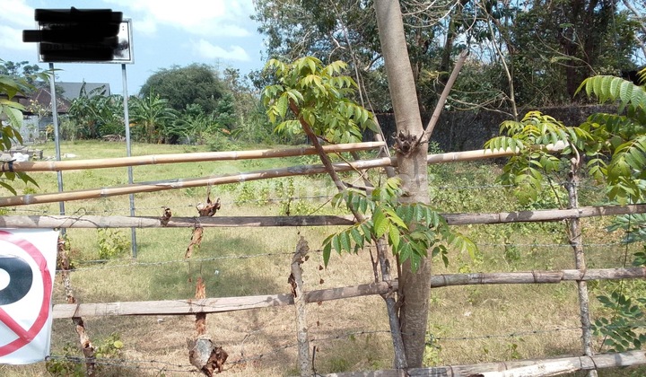 Tanah Potensial 18 Are Di Jimbaran Jalan Karang Mas Tanah Potensial 18 Are Di Jimbaran Jalan Karang Mas