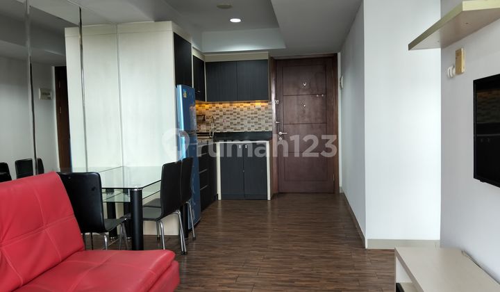 Luxury Apartments At Springhill Terrace