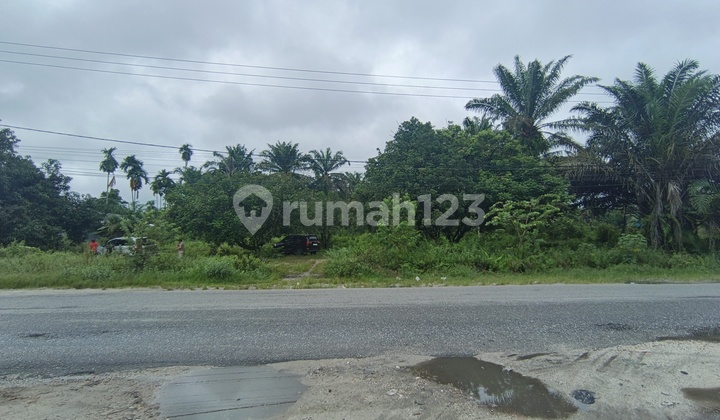 Lokasi Sudah Ramai Cocok Buat Rumah Walet, Gudang, Ruko Siapa Cepat Hokki Loh Lokasi Sudah Ramai Cocok Buat Rumah Walet, Gudang, Ruko Siapa Cepat Hokki Loh