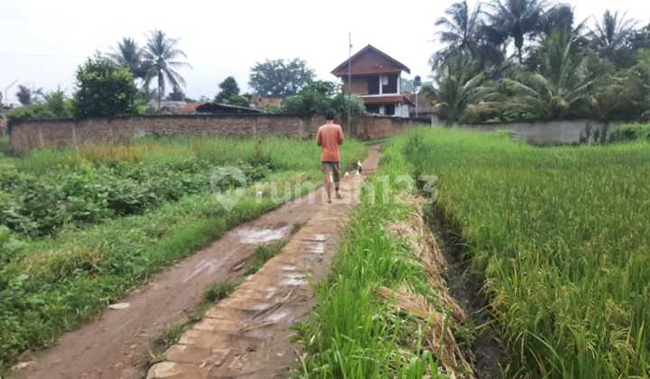 ACR BANTEN... Land that makes your wallet thick.. Jl. Raya Serang - Pandeglang No. 09, RT 019 / RW 04, Panyirapan Village, Baros District, Serang Regency, Banten Province ACR BANTEN... Land that makes your wallet thick.. Jl. Raya Serang - Pandeglang No. 09, RT 019 / RW 04, Panyirapan Village, Baros District, Serang Regency, Banten Province