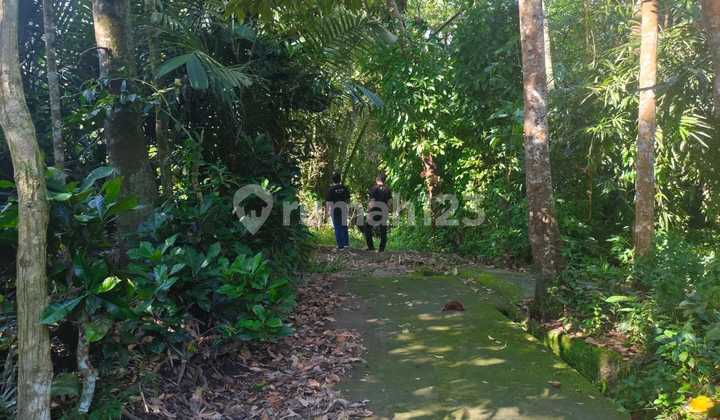 Tanah Murah di Jl. Blondo No. 2, Blondo, Mungkid, Magelang, Jawa Tengah, Indonesia, 56512, Magelang Tengah SHM 4225.0 m²