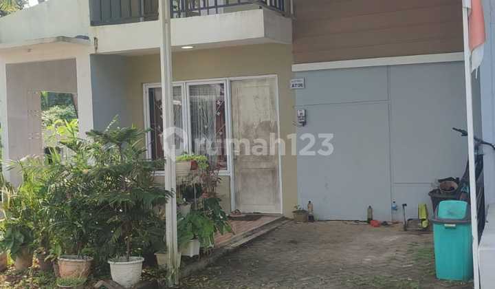 Luxury House But Cheap 2