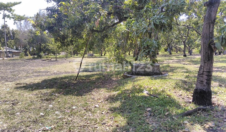 Land 10,429 M2 Rembang, Pasuruan