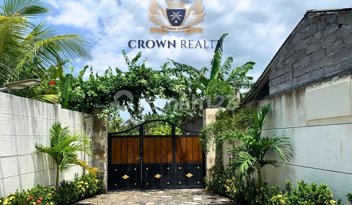 Villa Unik dengan Taman Luas dan Kolam Renang di Lahan 1500 m² di Lovina