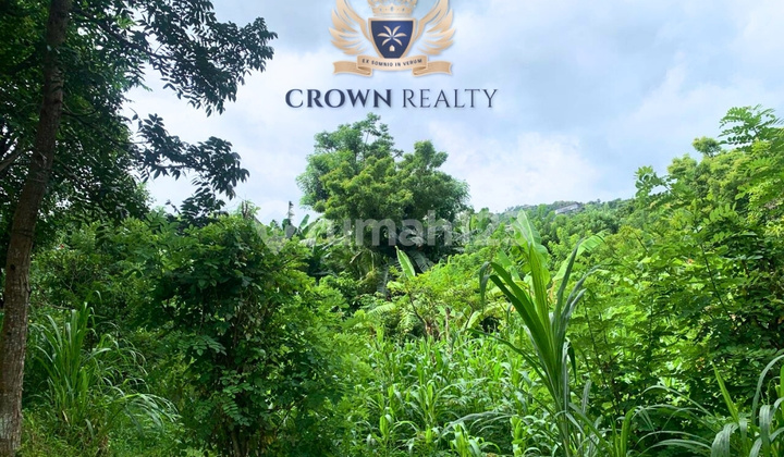 Exclusive Freehold Land 2,600 Sqm In Lovina Kaliasem Exclusive Freehold Land 2,600 Sqm In Lovina Kaliasem