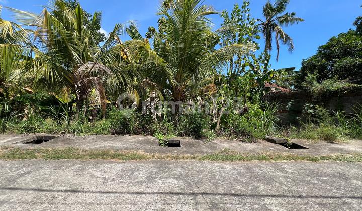 Strategic 400 M² Land In Lovina Growing Market Strategic 400 M² Land In Lovina Growing Market