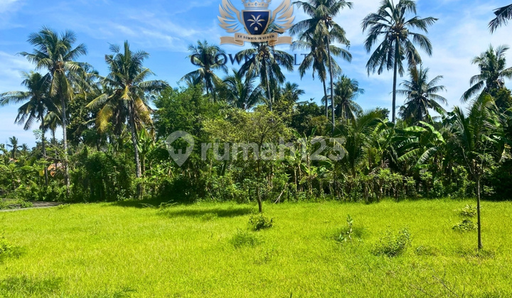 525 Sqm Land In Strategic Kaliasem Lovina Area 525 Sqm Land In Strategic Kaliasem Lovina Area