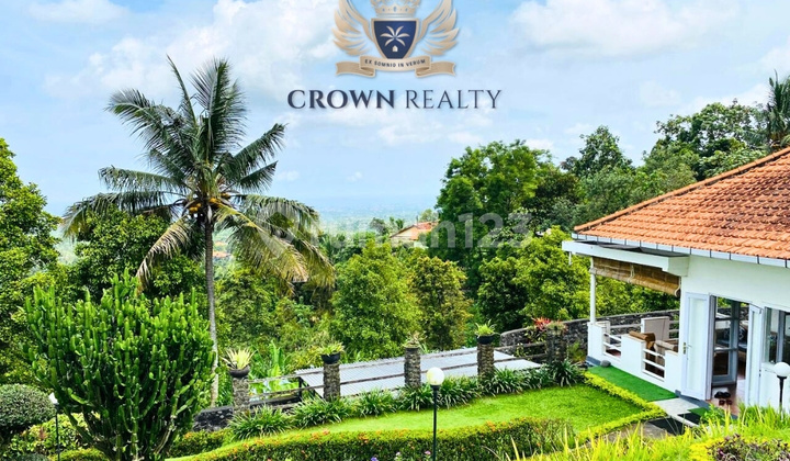 Experience Elevated Living Above The Ocean In Panji