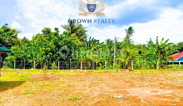 An Exceptional 1,800 Sqm Opportunity For Villa Development In Temukus An Exceptional 1,800 Sqm Opportunity For Villa Development In Temukus