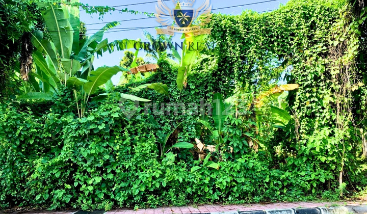 Prime Tourism Land In Lovina Perfect For Hospitality Business Prime Tourism Land In Lovina Perfect For Hospitality Business