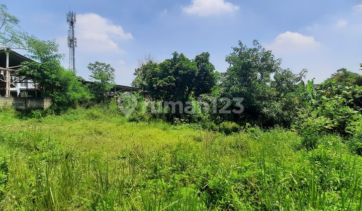 For Sale Cheap 500 m2 Land on Jl Kesehatan Ciputat - Strategic Location (Near Toll Access) For Sale Cheap 500 m2 Land on Jl Kesehatan Ciputat - Strategic Location (Near Toll Access)