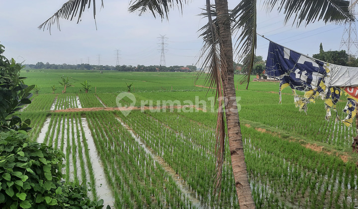 Di Jual Tanah Strategis Pinggir Jalan Luas 9.267 M2 di Cikarang Pusat-Siap Nego !!