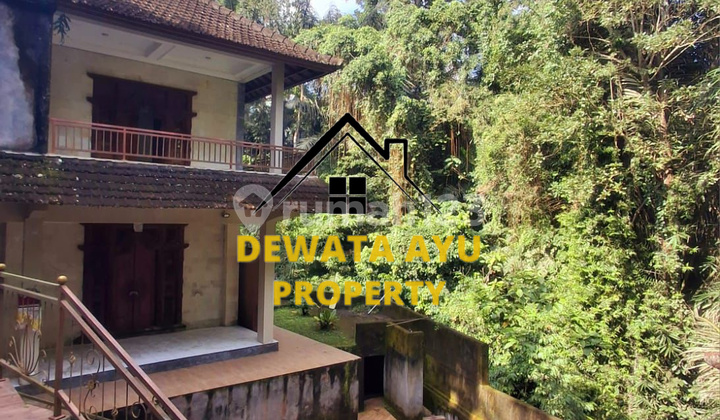 EMPTY LAND FOR ABANDONED VILLA IN YELLOW ZONE, 11 AREA LOCATION IN UBUD SUWETA EMPTY LAND FOR ABANDONED VILLA IN YELLOW ZONE, 11 AREA LOCATION IN UBUD SUWETA
