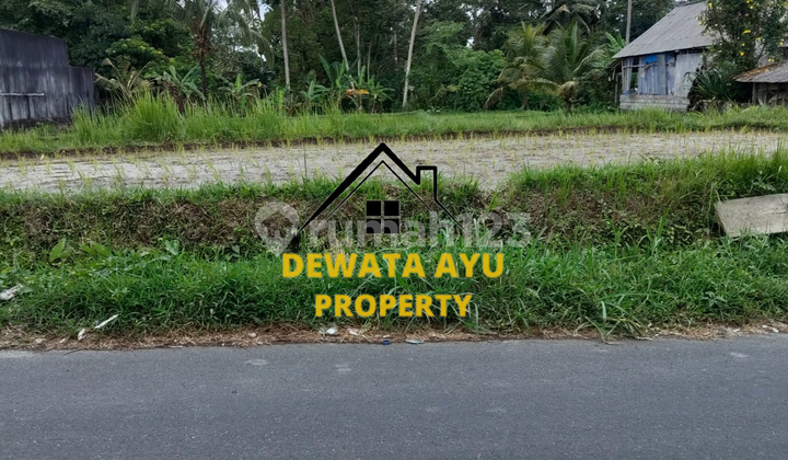 LAND 15 ARE YELLOW ZONE WITH RIVER AND RICE FIELD VIEW IN TEGALLALANG LAND 15 ARE YELLOW ZONE WITH RIVER AND RICE FIELD VIEW IN TEGALLALANG