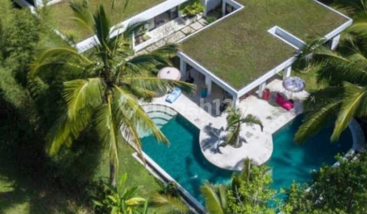 Villa 6 Bedrooms Furnished Land 25Are Location Sebatu Tegallalang