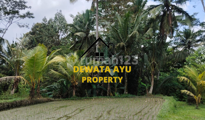 LAND 15 ARE YELLOW ZONE WITH RIVER AND RICE FIELD VIEW IN TEGALLALANG LAND 15 ARE YELLOW ZONE WITH RIVER AND RICE FIELD VIEW IN TEGALLALANG
