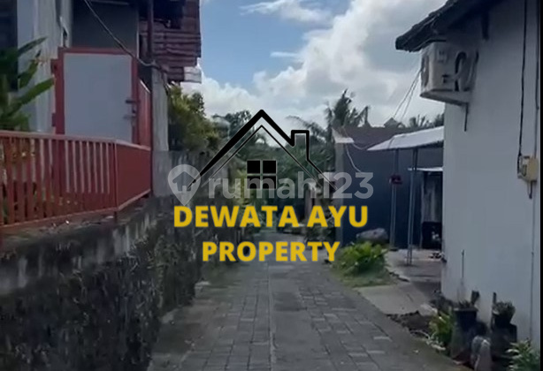 LAHAN SEWA 26 TAHUN BUC LUAS 4,59 ARE JALAN BISMA CENTRAL UBUD