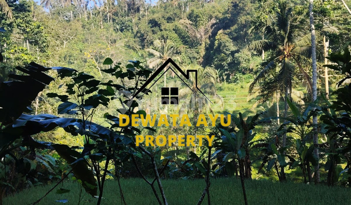 LAND 34 AREA WITH RIVER VIEW AND TERRACING IN CHOCOLATE ZONE, PUJUNG KELOD LAND 34 AREA WITH RIVER VIEW AND TERRACING IN CHOCOLATE ZONE, PUJUNG KELOD