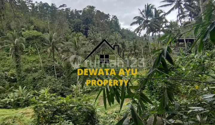 LAND 60 AREAS YELLOW ZONE WITH RIVER AND FOREST VIEWS, TEGALLALANG LOCATION
