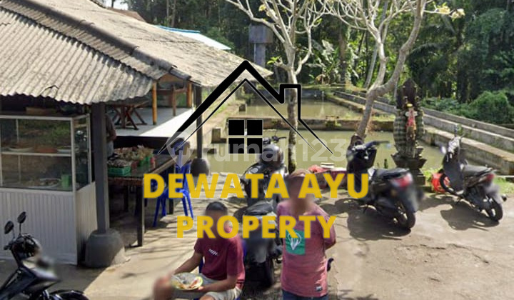 LAHAN 21 ARE DAN 8 ARE VIEW SUNGAI DAN SAWAH COCOK UNTUK VILLA DI PEJENG