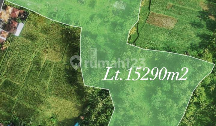 Land For Sale Area 150 Are Villa Area Location Kendran Tegallang Land For Sale Area 150 Are Villa Area Location Kendran Tegallang