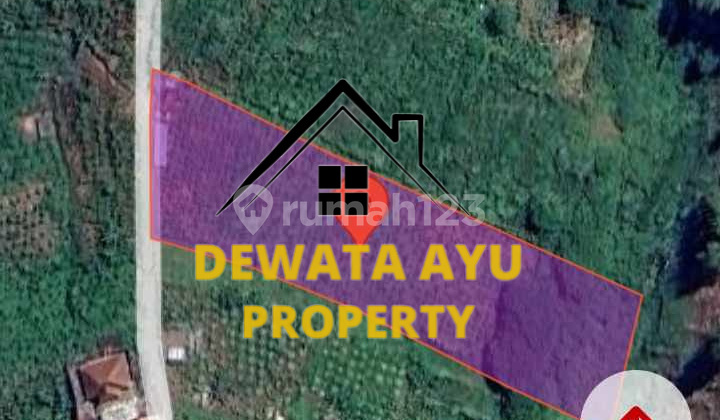 LAHAN TEGALAN 63 ARE DESA SERAI KINTAMANI