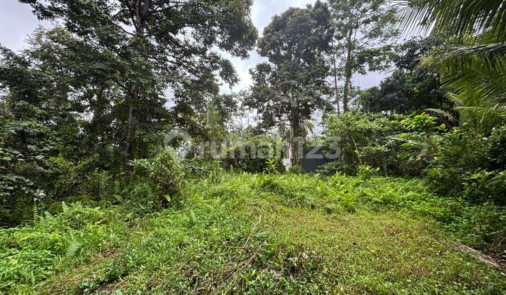 Lahan Jual Luas 13 Are Lokasi Central Ubud Los Sungai