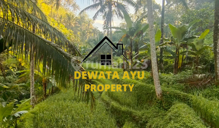 LAND 34 AREA WITH RIVER VIEW AND TERRACING IN CHOCOLATE ZONE, PUJUNG KELOD LAND 34 AREA WITH RIVER VIEW AND TERRACING IN CHOCOLATE ZONE, PUJUNG KELOD