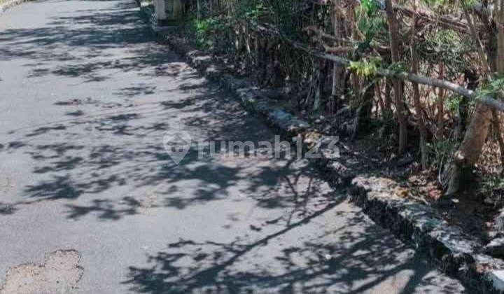 LAND FOR SALE, 1.04 HECTARES, PINK ZONE, NEXT TO BULLGARY HOTEL PECATU, 600 MILLION PER ARE